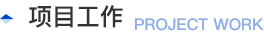 项目工作
